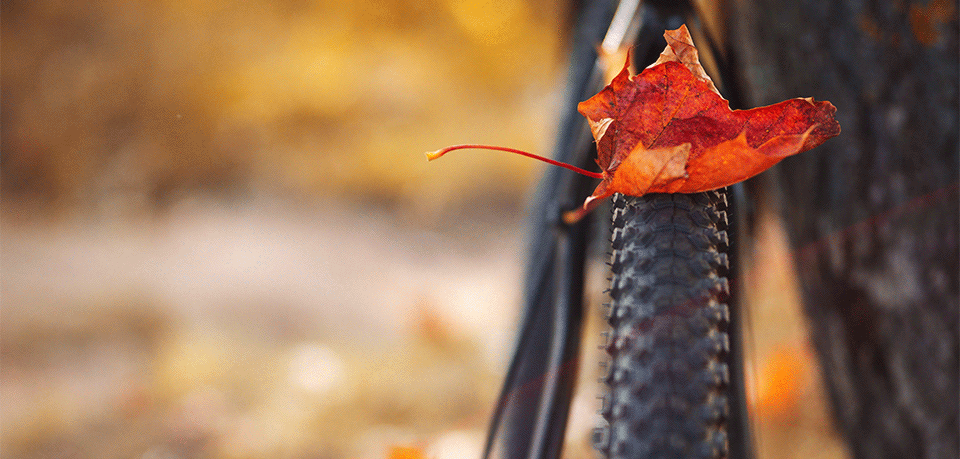 Mit dem Fahrrad sicher durch den Herbst - assona